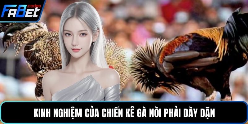 Kinh nghiệm của chiến kê gà nòi phải dày dặn