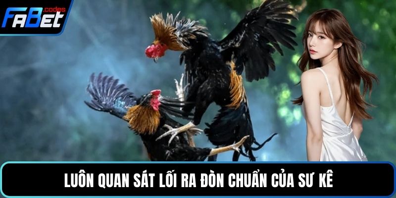 Luôn quan sát lối ra đòn chuẩn của sư kê